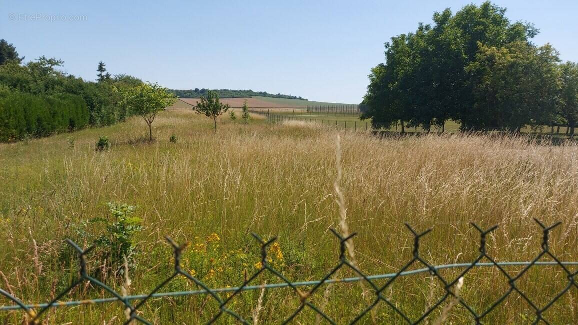 Terrain à BROUSSY-LE-GRAND