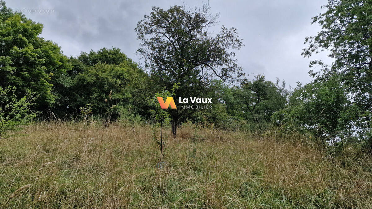 Terrain à VEZELISE