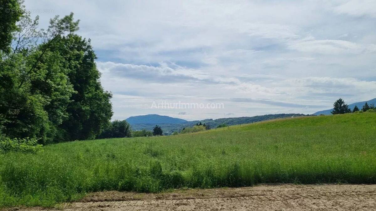 Terrain à BELLEY