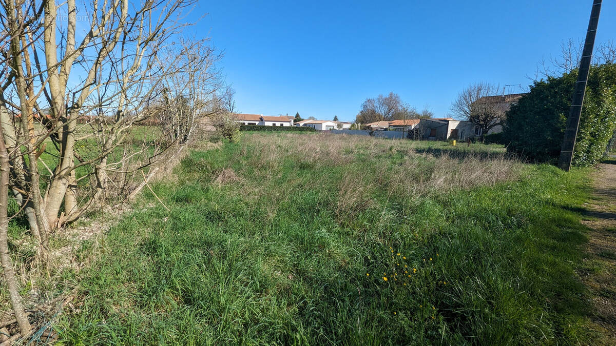 Terrain à COULON