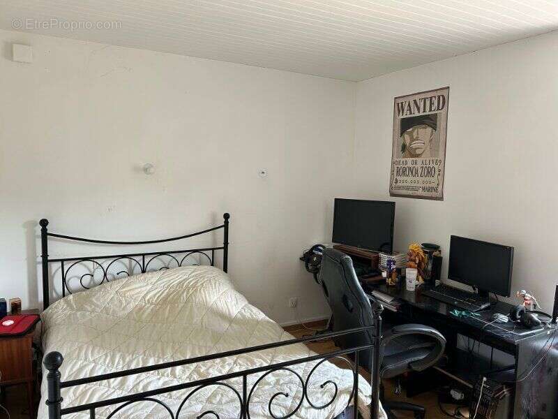 Photo 5 - Maison à SAINT-AMANS-SOULT