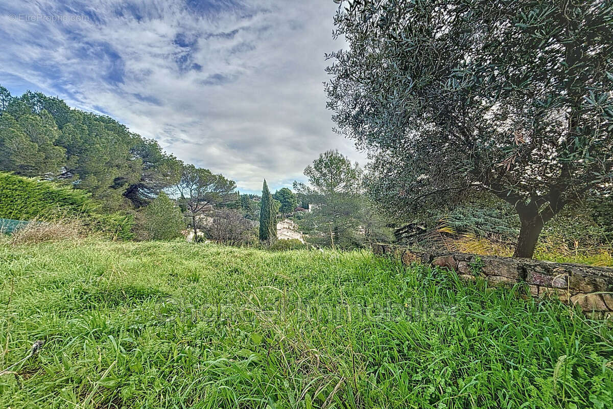 Terrain à MOUGINS