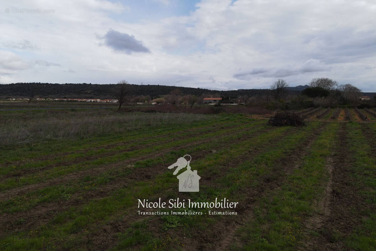 Terrain à ESTAGEL