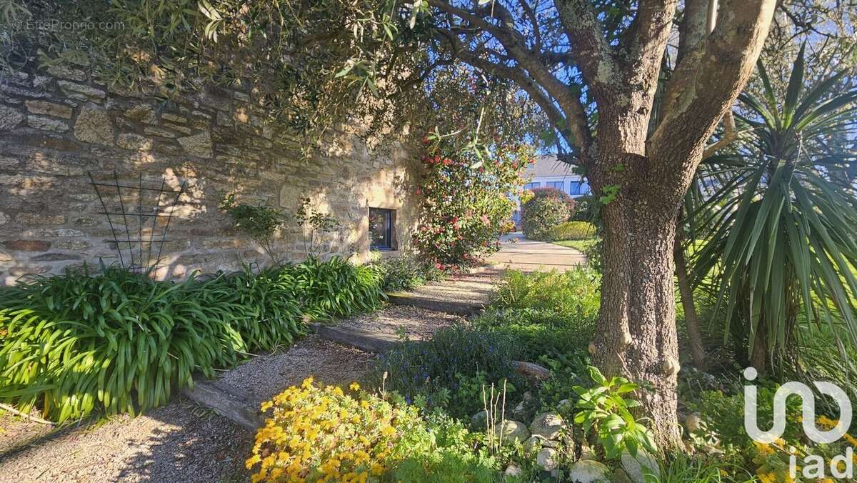 Photo 3 - Maison à THEIX