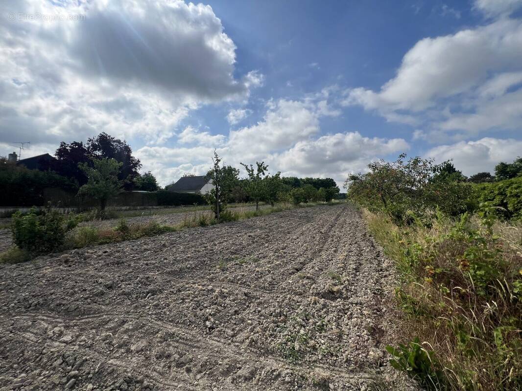 Terrain à ARTANNES-SUR-INDRE