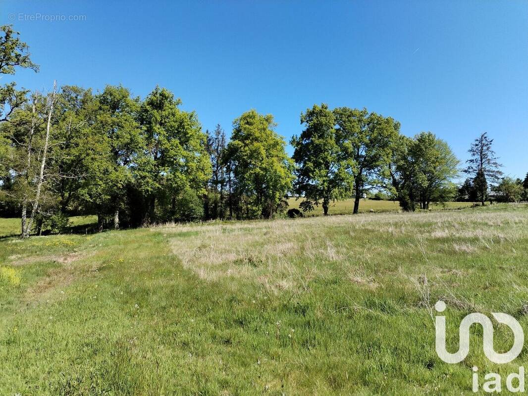 Photo 1 - Terrain à CHATEAU-CHERVIX