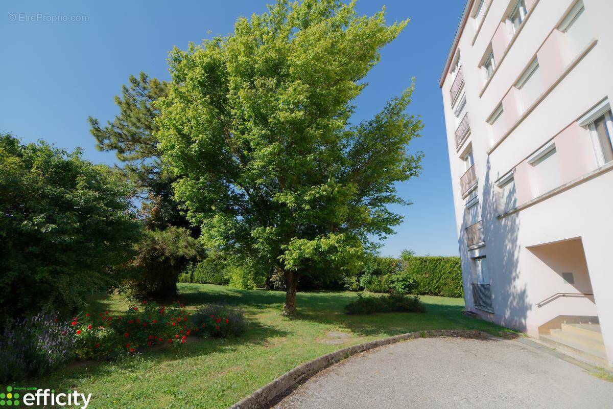 Appartement à NUITS-SAINT-GEORGES