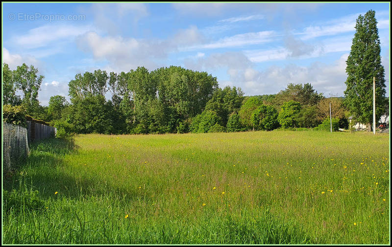 Terrain à CHEMILLE-SUR-DEME