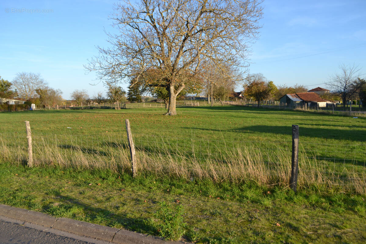 Terrain à TRETEAU