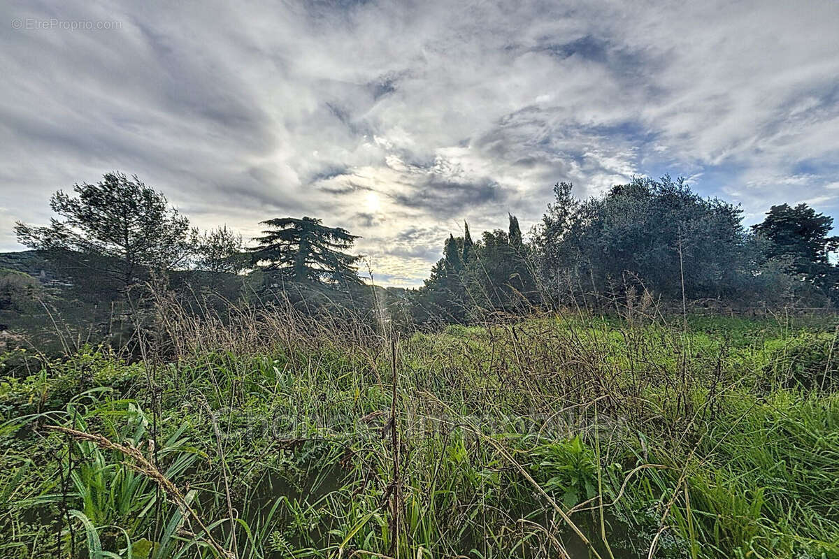 Terrain à MOUGINS