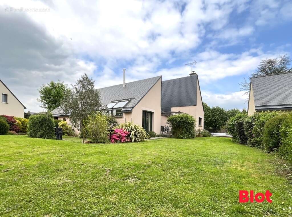 Maison à CINTRE