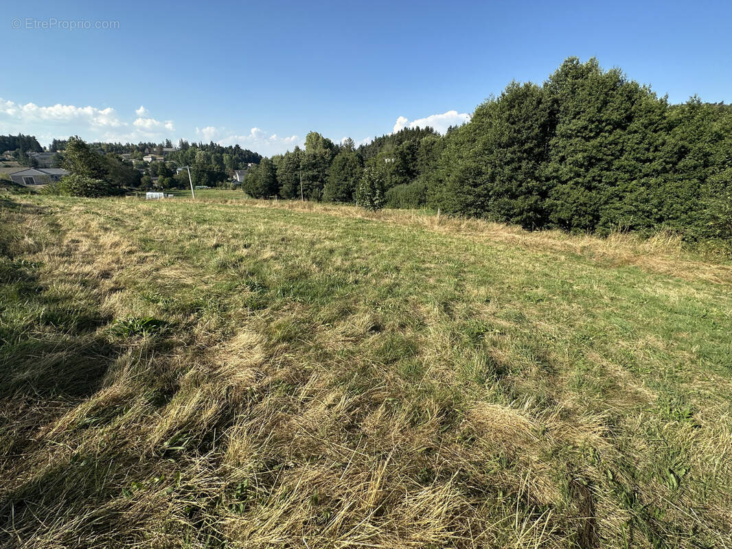 Terrain à MAZET-SAINT-VOY