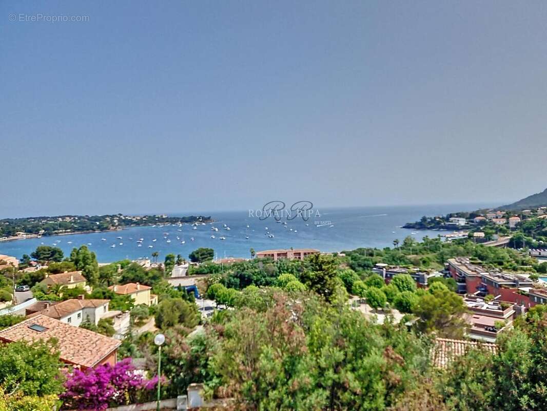 Photo 2 - Maison à SAINT-RAPHAEL