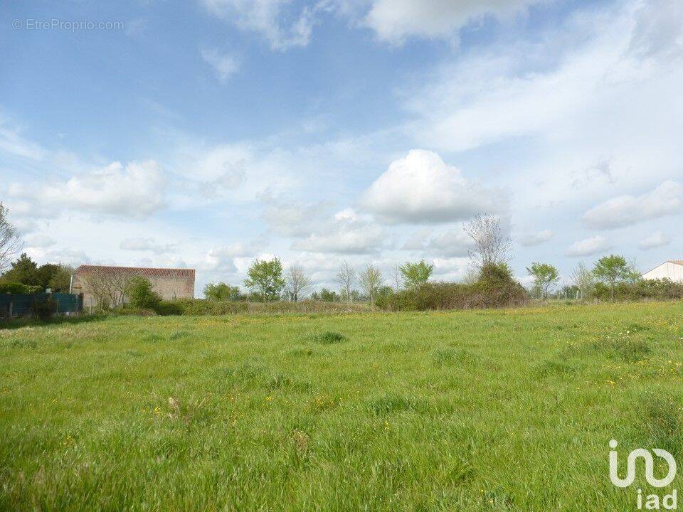 Photo 1 - Terrain à ASNIERES-LA-GIRAUD