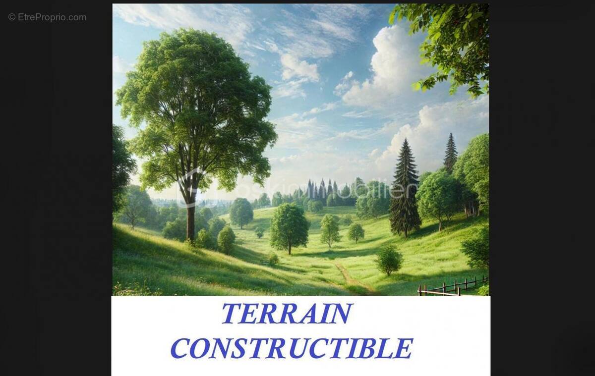 Terrain à CHATEAU-RENAULT