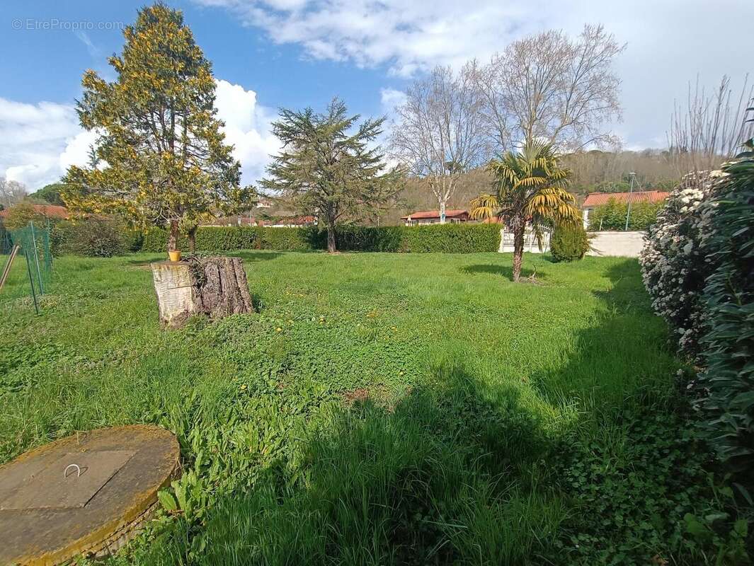 Photo 2 - Terrain à CASTELNAU-D&#039;ESTRETEFONDS