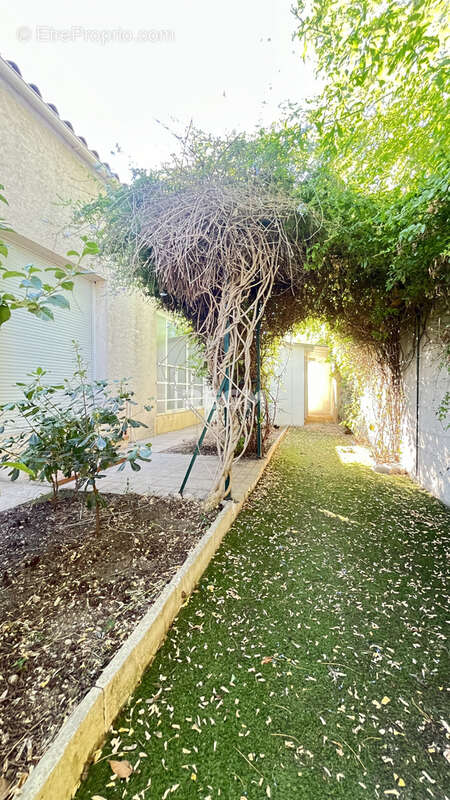Maison à BALARUC-LES-BAINS