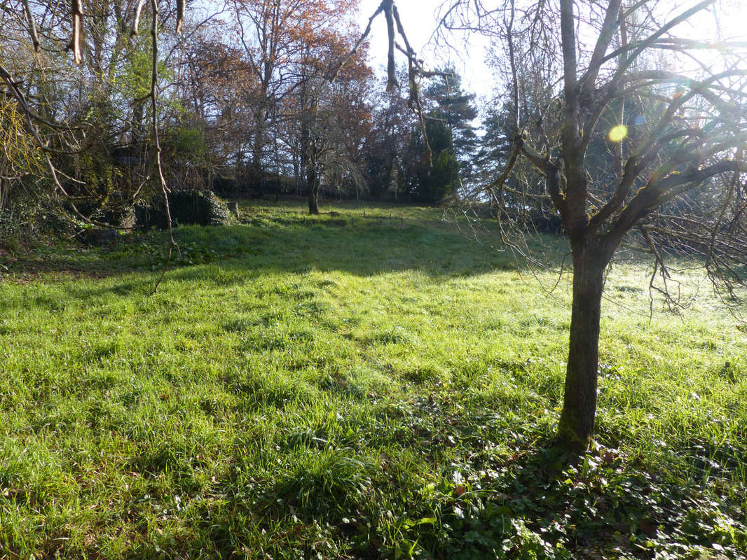 Terrain à CARMAUX