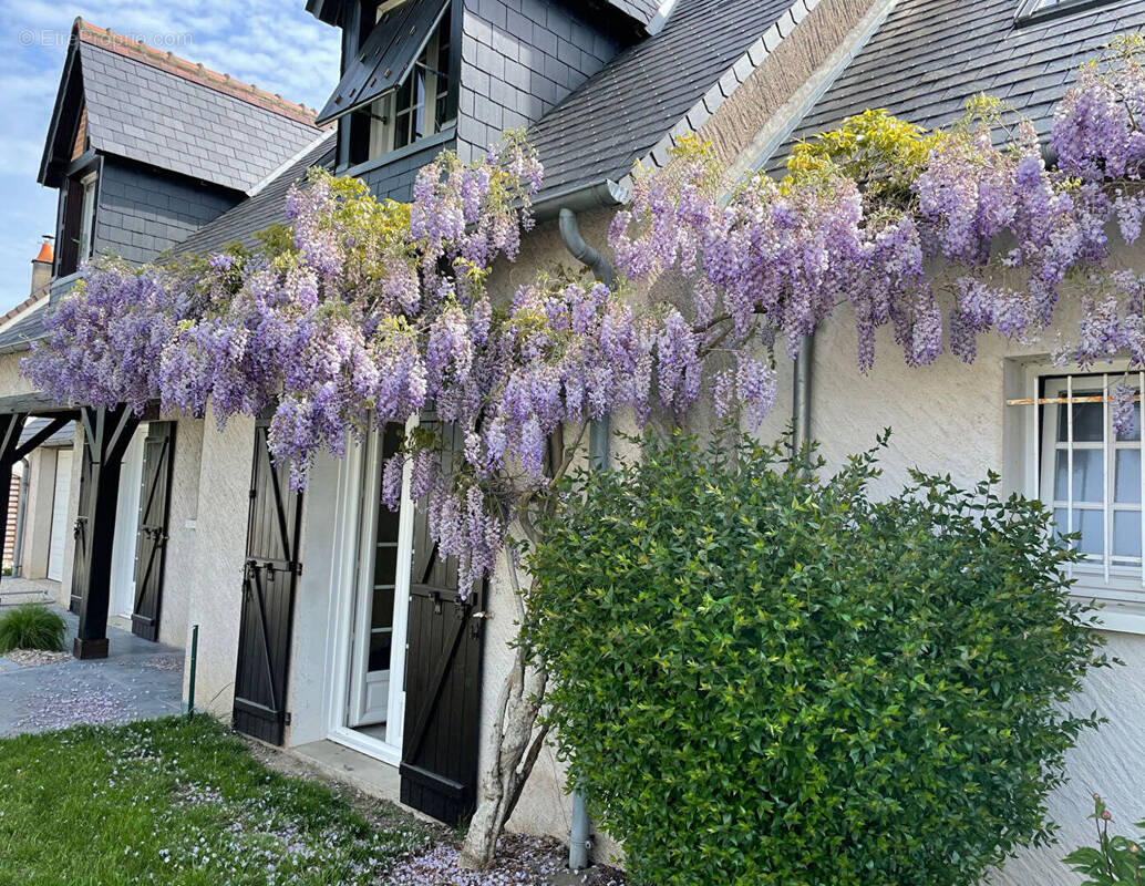 Maison à JOUE-LES-TOURS