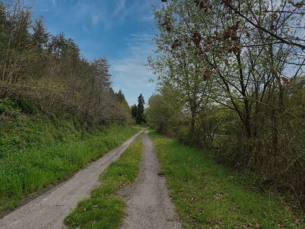 Terrain à PLOERMEL