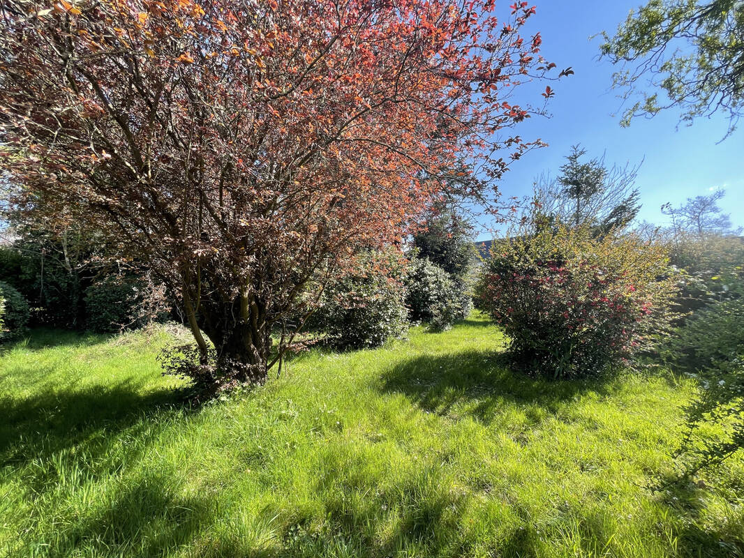Terrain à LARMOR-BADEN