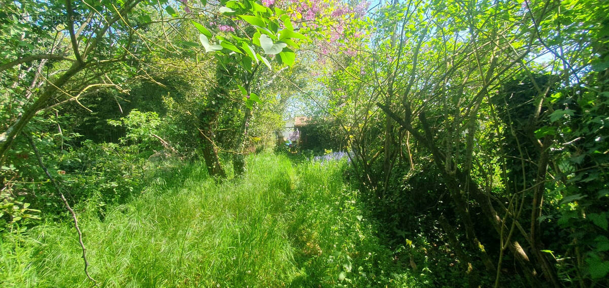 Terrain à MERIGNAC