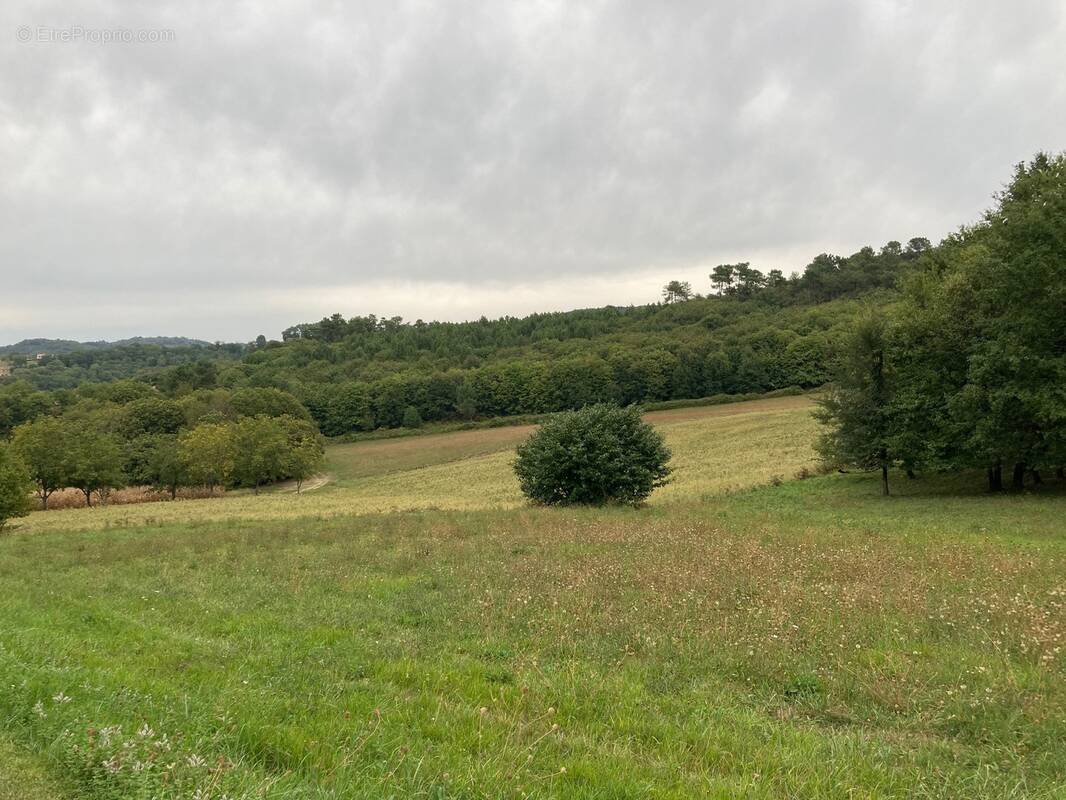 Terrain à SARLAT-LA-CANEDA