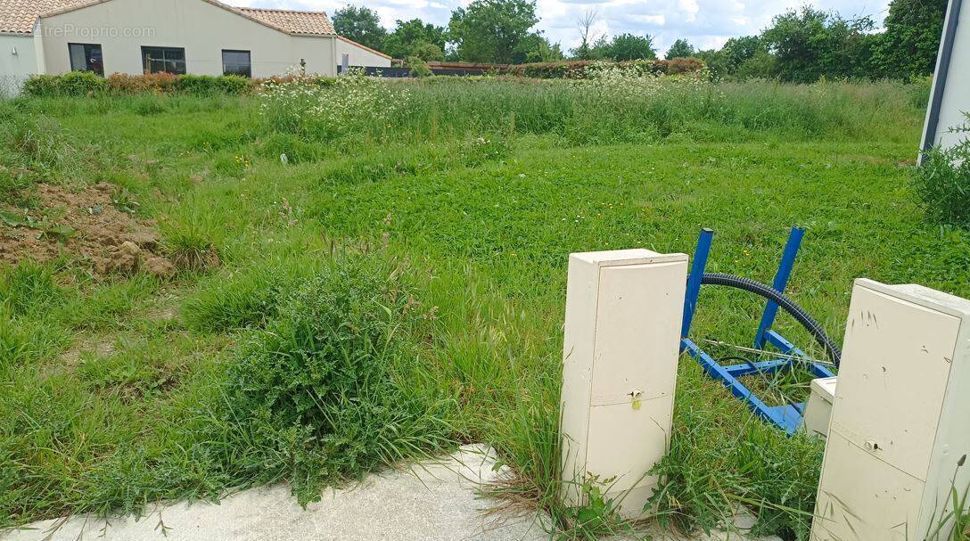 Terrain à LE POIRE-SUR-VIE