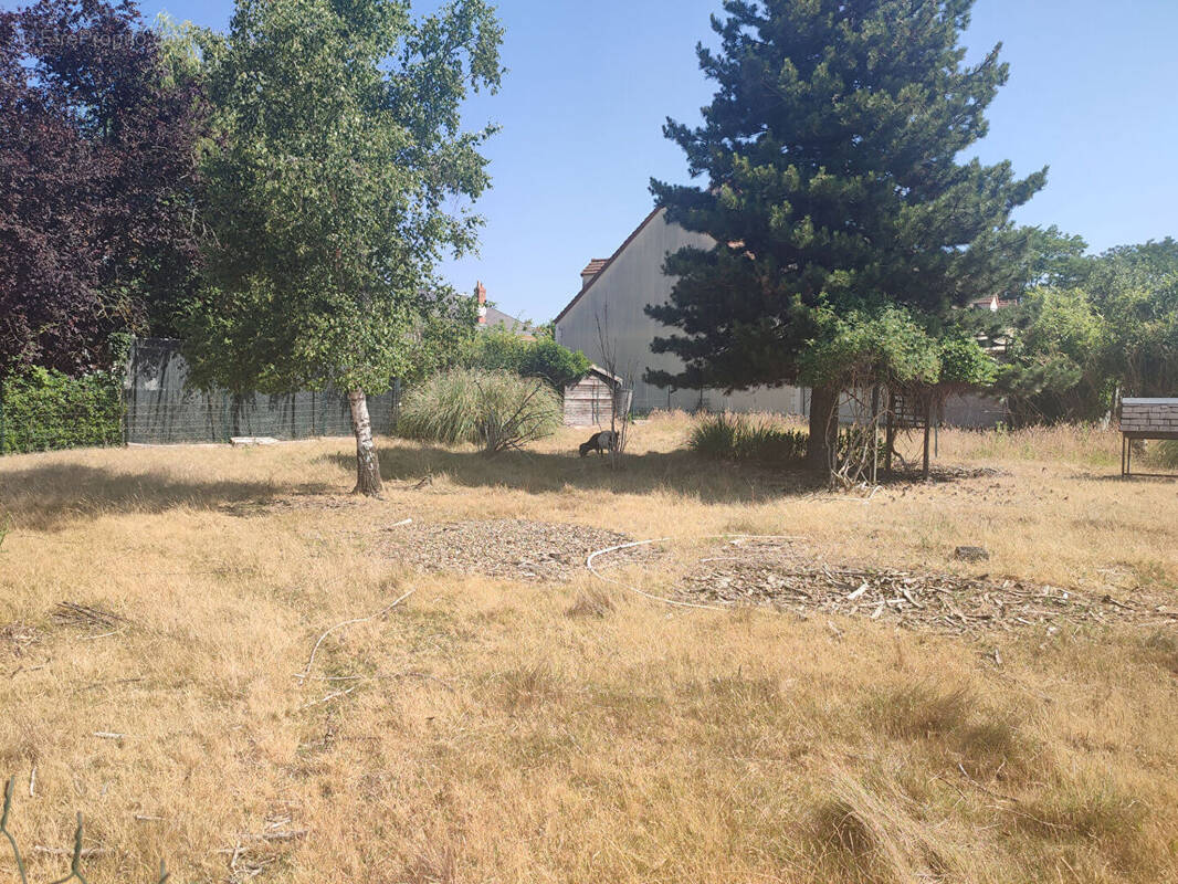 Terrain à SAINT-JEAN-DE-BRAYE