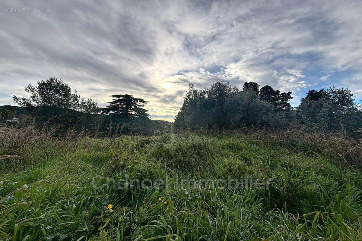Terrain à MOUGINS