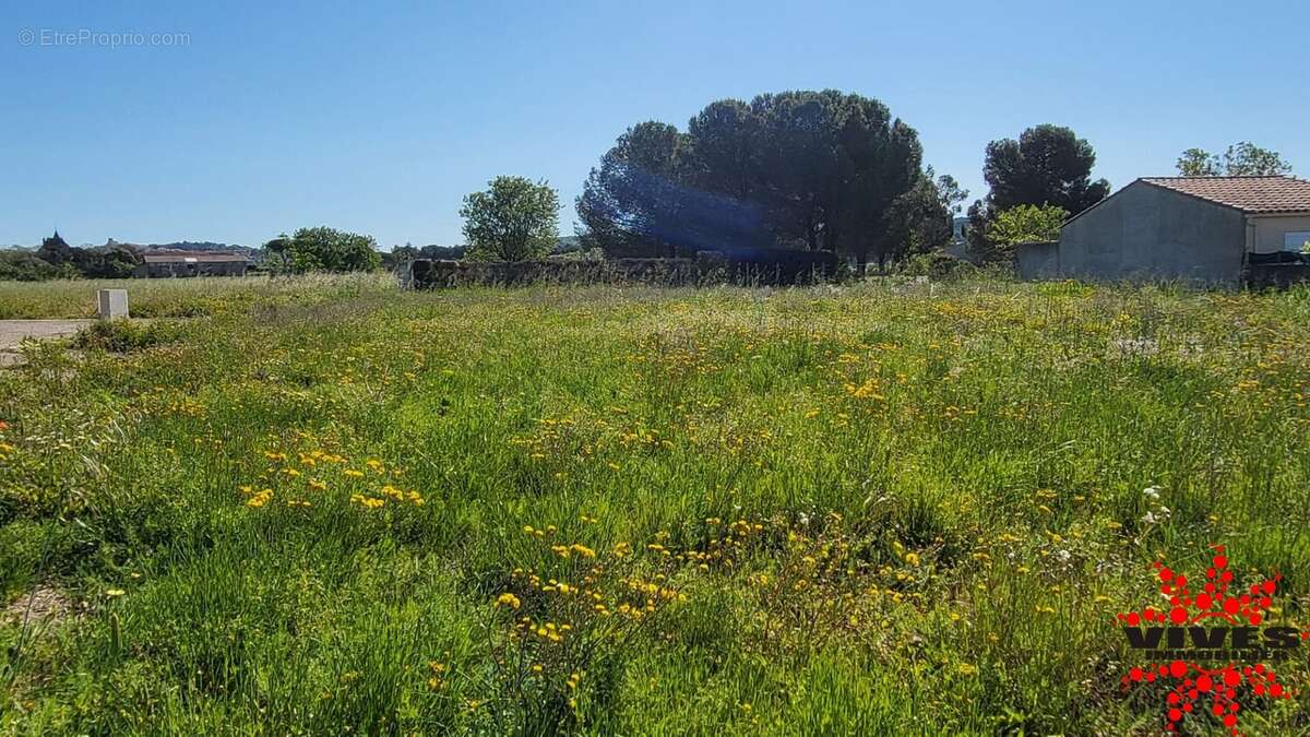 Terrain à LIGNAN-SUR-ORB