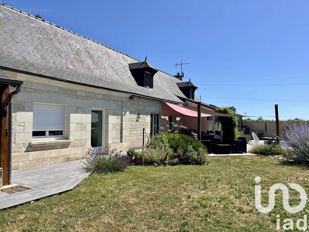 Photo 1 - Maison à SAINT-NICOLAS-DE-BOURGUEIL