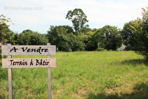 Terrain à RAIZEUX