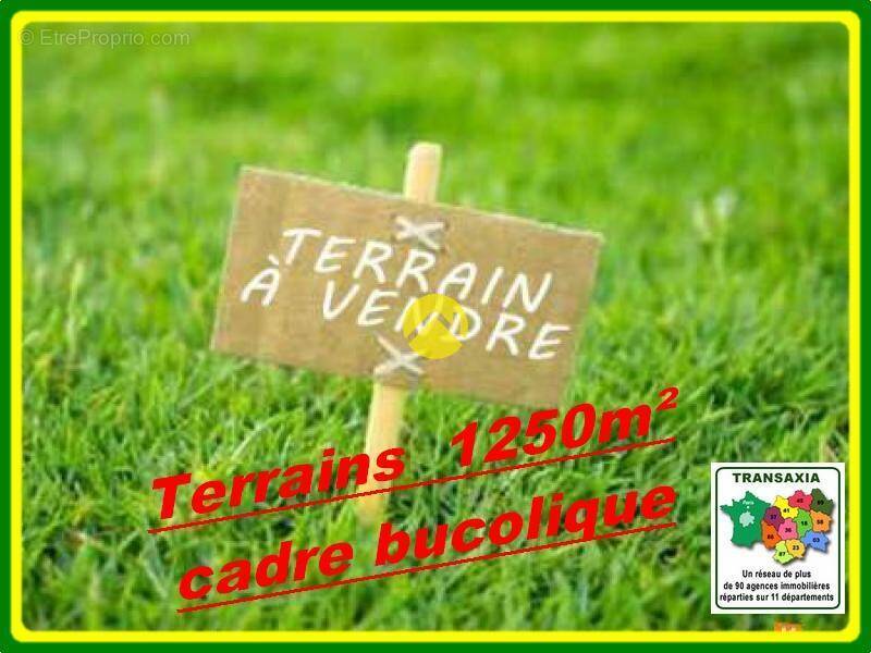Terrain à NEUVY-SUR-BARANGEON