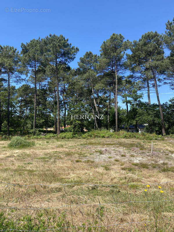 Terrain à MARTIGNAS-SUR-JALLE