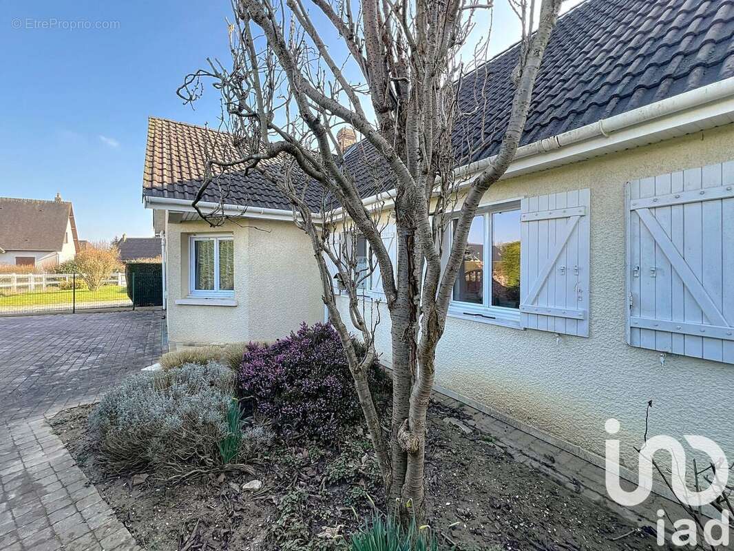 Photo 4 - Maison à LE MESNIL-ESNARD