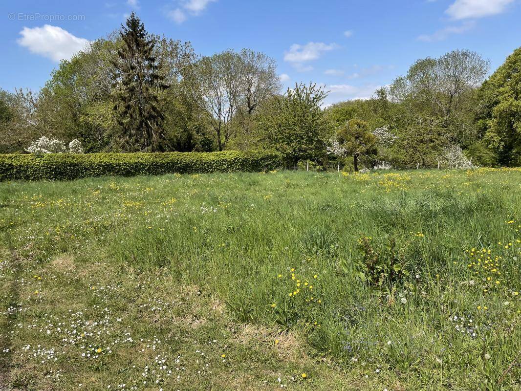 Terrain à MELICOCQ
