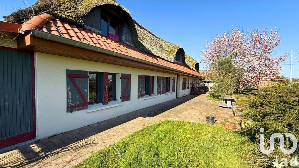 Photo 1 - Maison à MORBECQUE