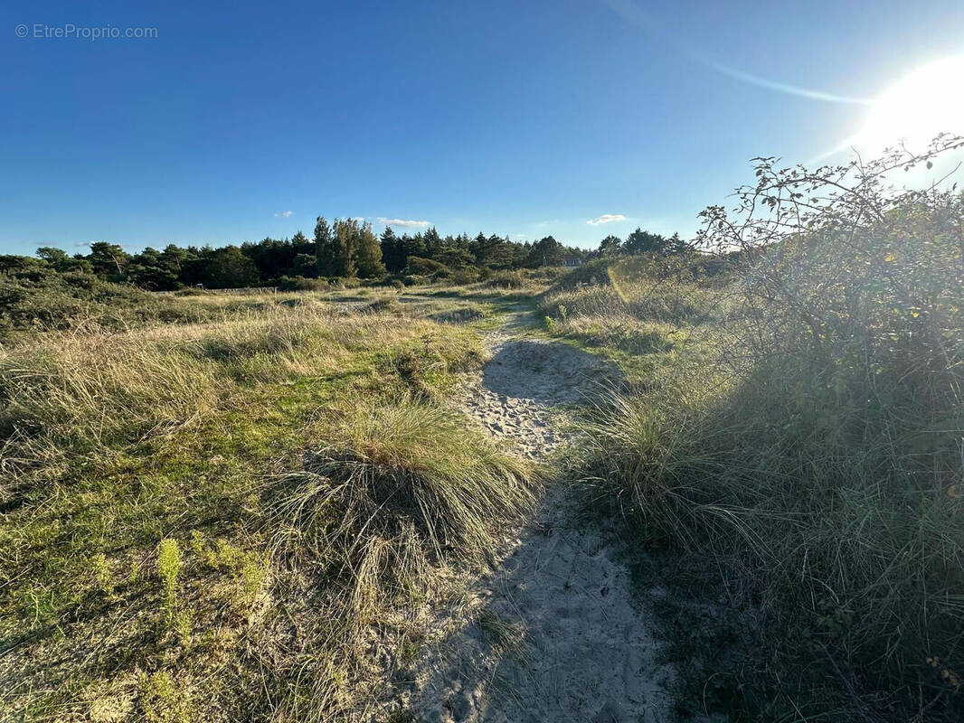 Photo 1 - Terrain à CAYEUX-SUR-MER