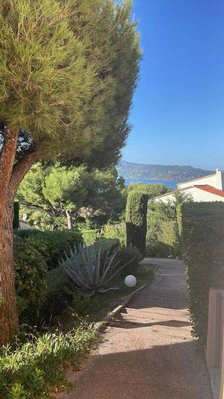 Photo 1 - Appartement à SAINT-MANDRIER-SUR-MER