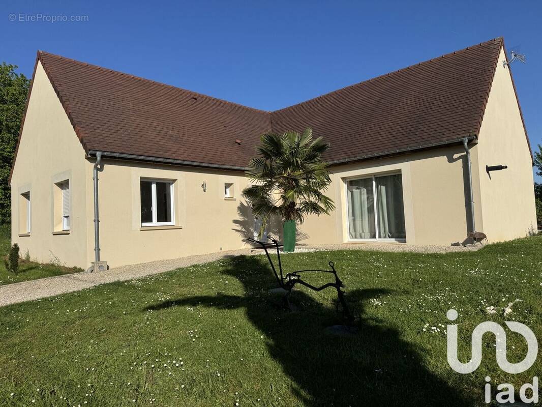 Photo 1 - Maison à VILLENEUVE-SUR-YONNE
