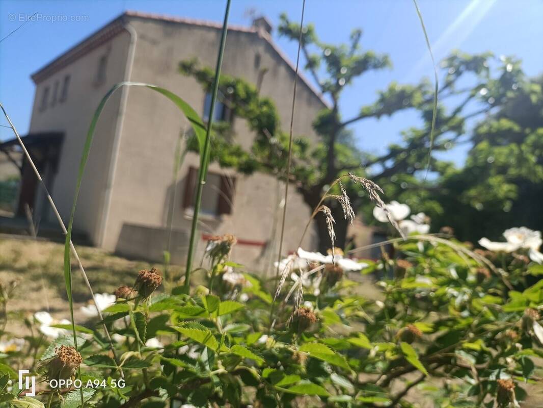 Maison à VIVIERS