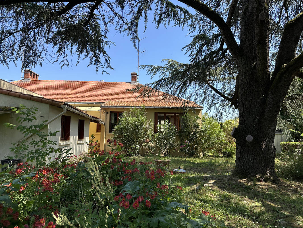 Maison à THOUARE-SUR-LOIRE