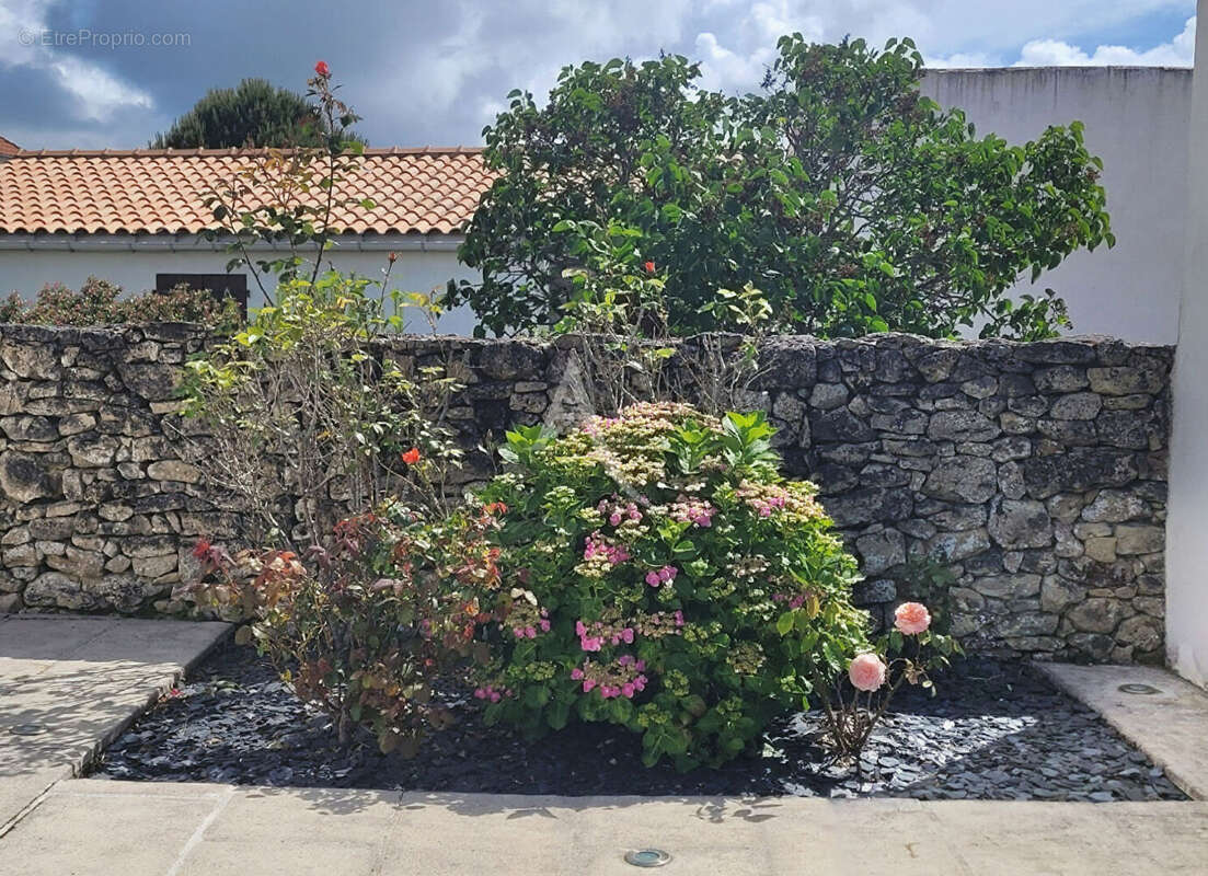 Maison à BARBATRE
