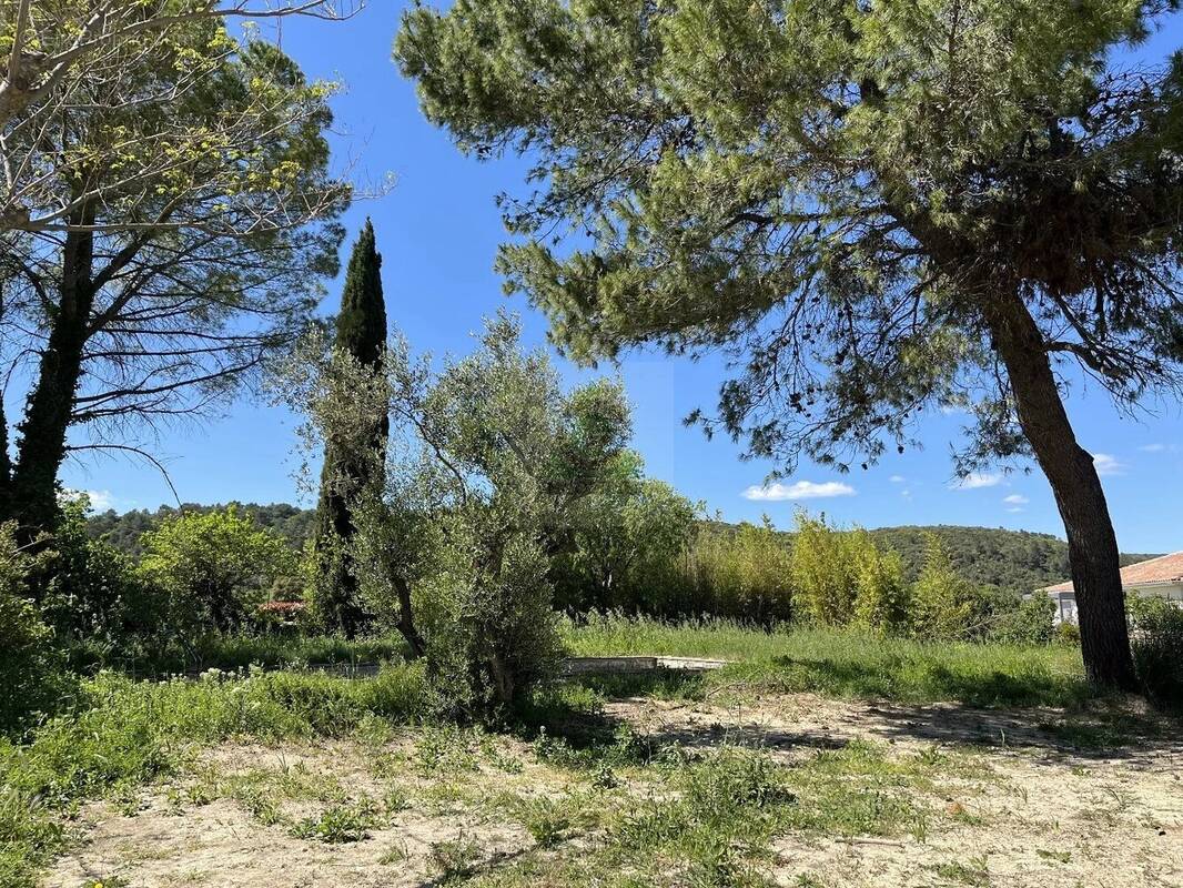 Terrain à MONTPELLIER