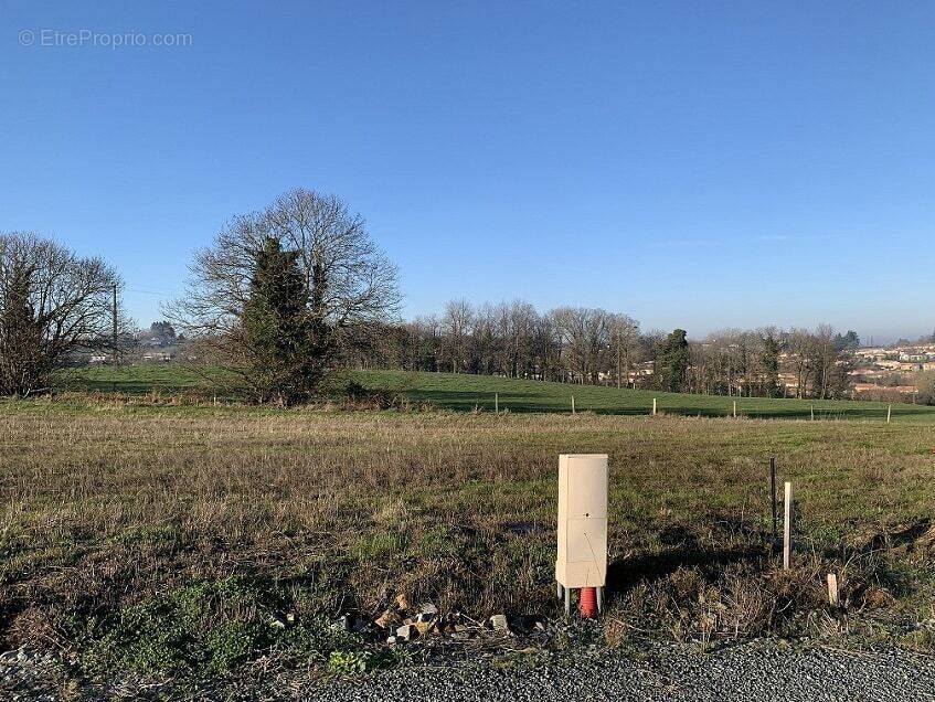 Terrain à LA MARNE