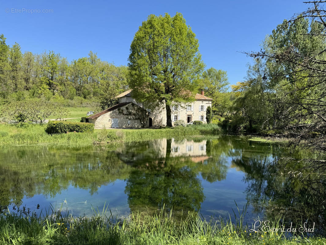 Maison à CORDES-SUR-CIEL