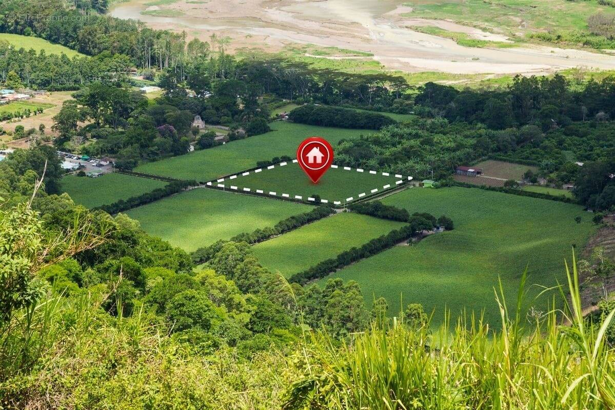 Terrain à COEX