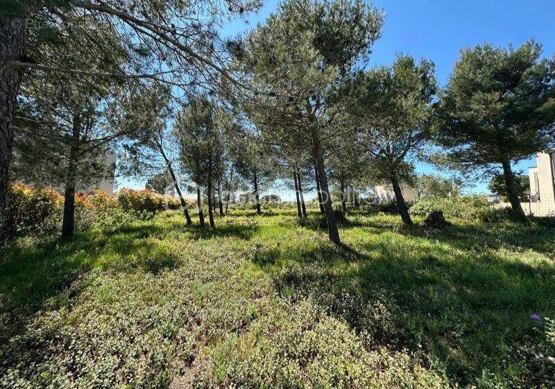 Terrain à NIMES