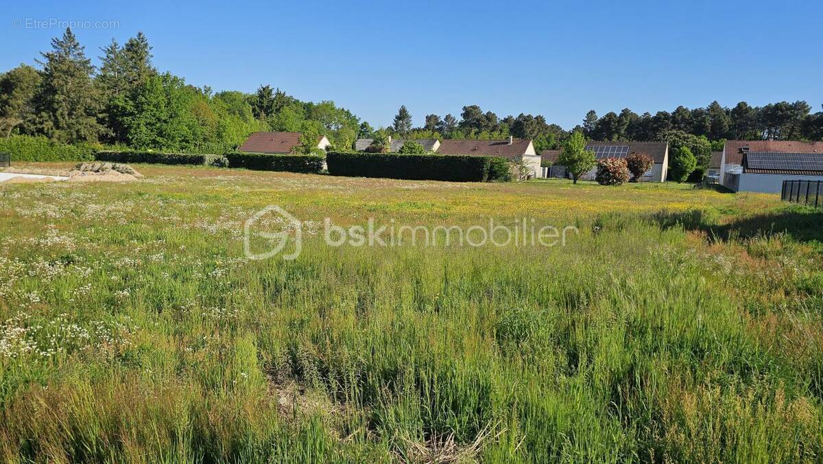 Terrain à BRAY-EN-VAL